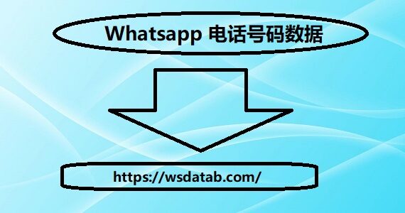 Whatsapp 电话号码数据