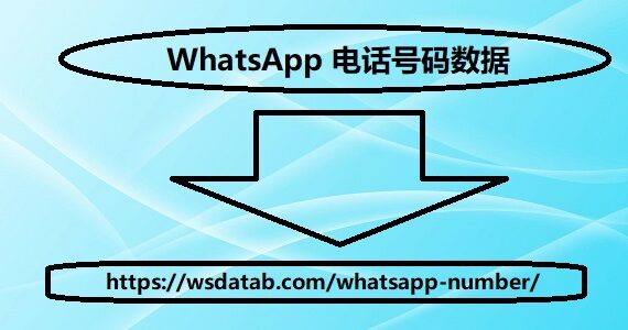 WhatsApp 电话号码数据