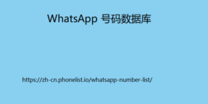 WhatsApp 号码数据库	