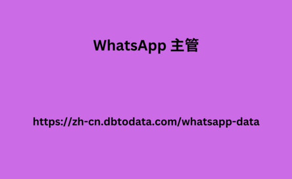 WhatsApp 主管